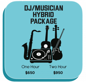 DJ Live Musician Combo