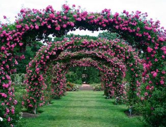 Pond House CT Rose Garden
